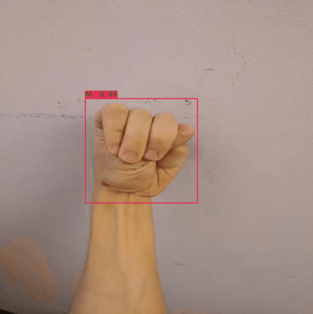 Sign Language Recognition (ASL)